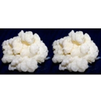 Pack 2x 40g Melkkefir Korrels / Plantje