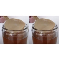 Pack 2x Komboecha Scoby